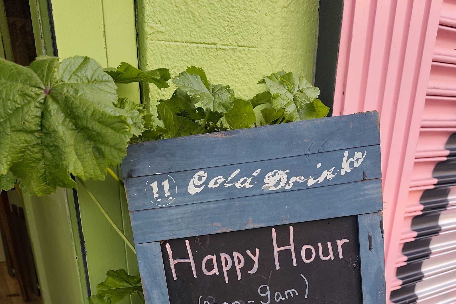 The lime-green doorway of Mooz with plants, a pink shutter and a chalkboard A-board reading Cold Drinks and Happy Hour